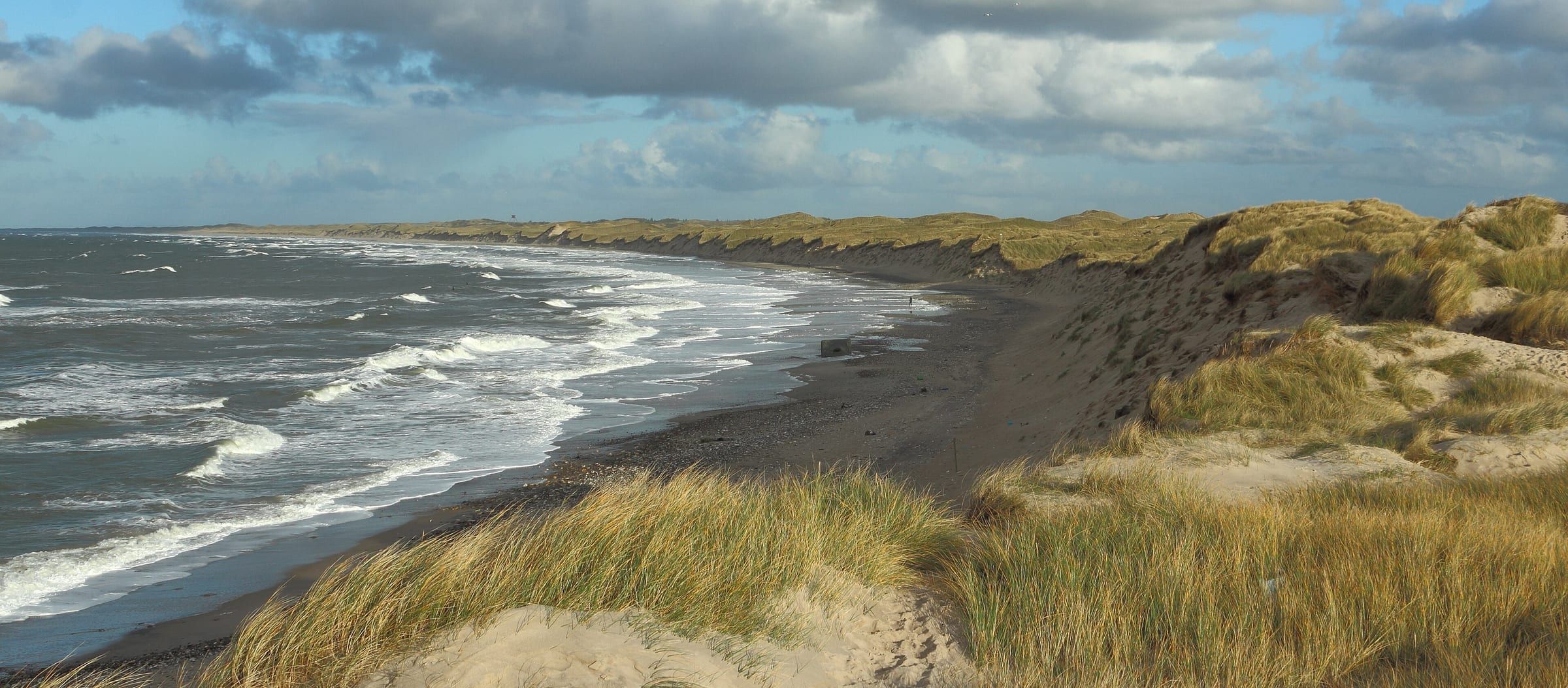 Dunes and the North Sea at Nørre Vorupør, Denmark